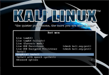 Install Kali Linux