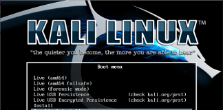 Install Kali Linux