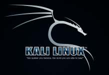 Kali linux first run