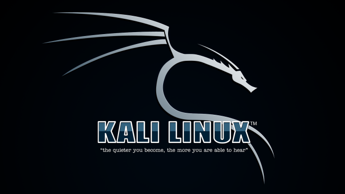 Kali linux first run