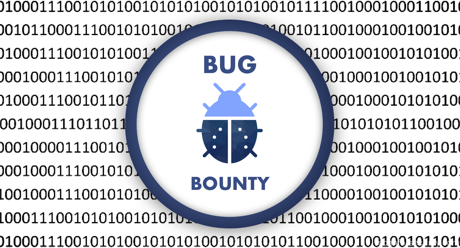 Bug Bounty Program