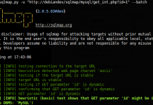 sqlmap-advanced-guide