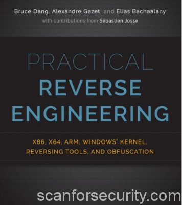 Practical Reverse Engineering