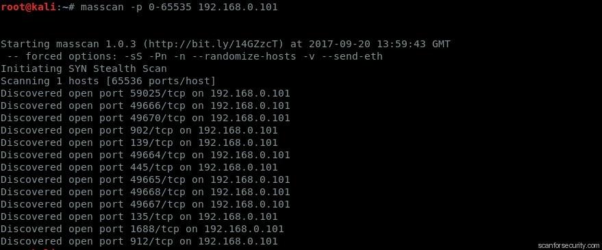Masscan usage example