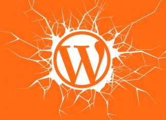 WordPress Themes Vulnerabilities