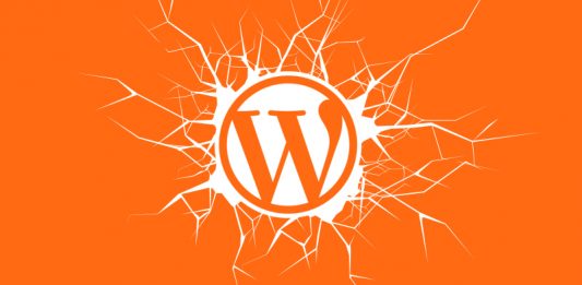 WordPress Themes Vulnerabilities
